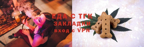 дживик Сясьстрой